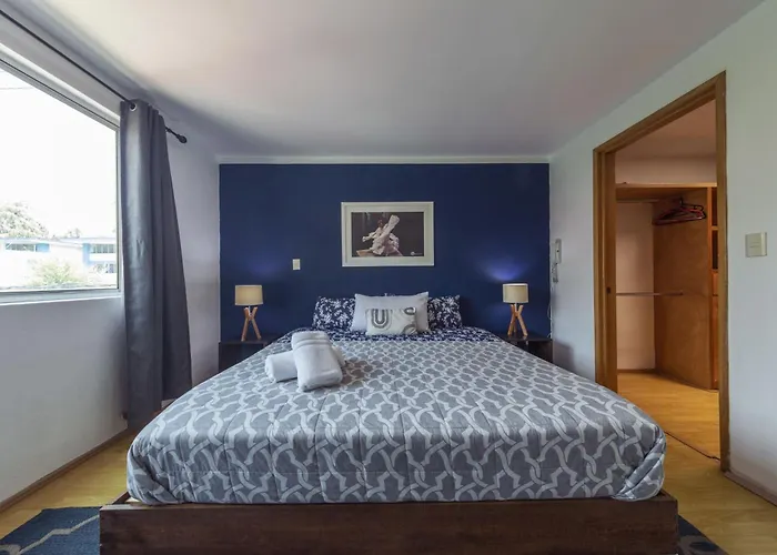 Homestay Casa Hidalgo By Mi Querido Coyoacan