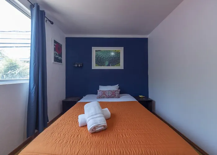 Casa Hidalgo By Mi Querido Coyoacan Homestay Mexico City
