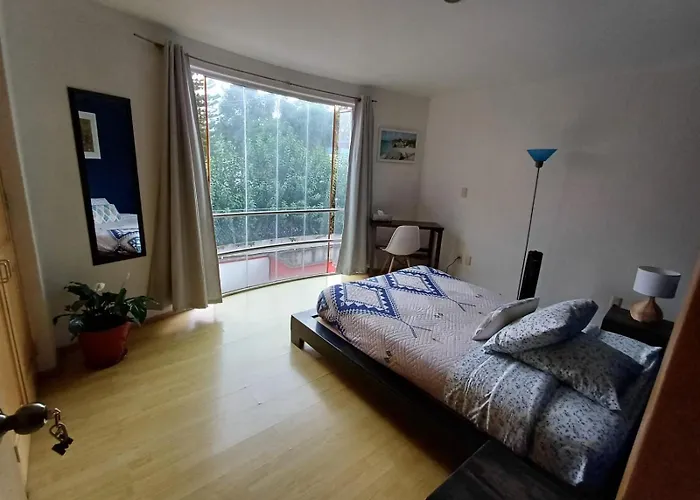 Homestay Casa Hidalgo By Mi Querido Coyoacan Mexico City