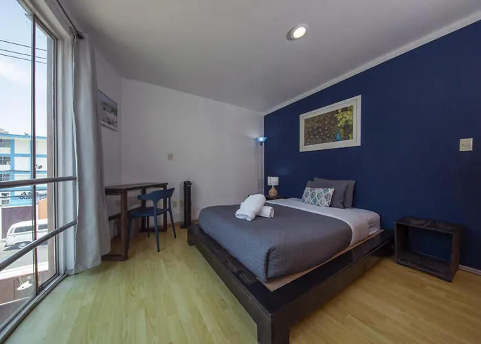 Casa Hidalgo By Mi Querido Coyoacan Homestay Mexico City