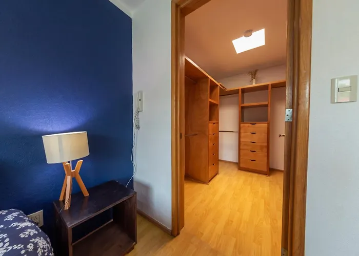 Homestay Casa Hidalgo By Mi Querido Coyoacan Mexico City
