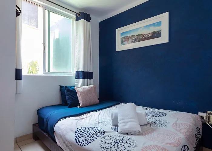 Casa Hidalgo By Mi Querido Coyoacan Homestay Mexico City