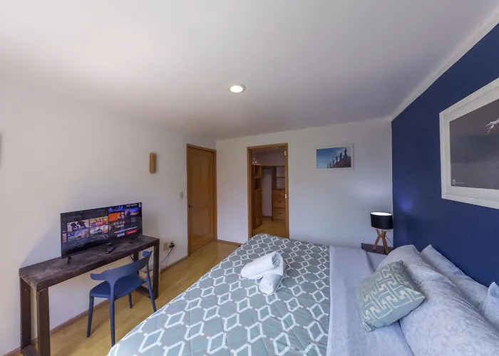 Homestay Casa Hidalgo By Mi Querido Coyoacan